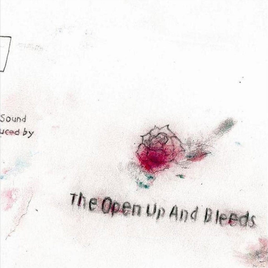 The Open Up And Bleeds - The Open Up And Bleeds