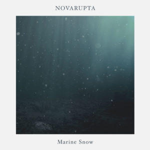 Novarupta - Marine Snow