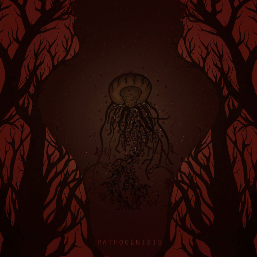 Vorder - Pathogenisis